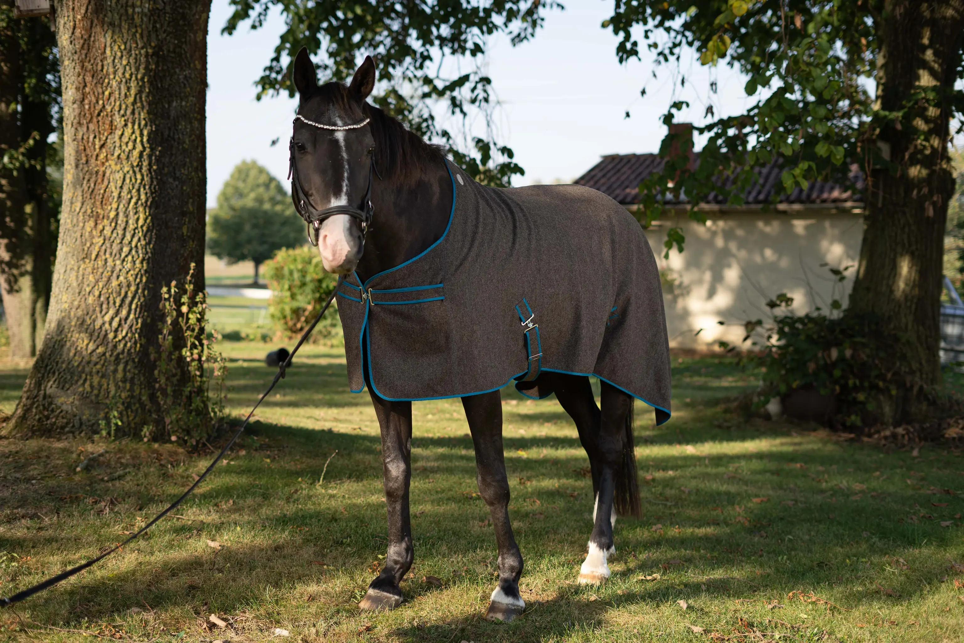 Calma | Abschwitzdecke - Image 4