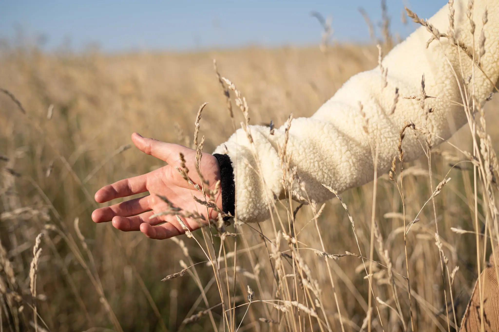 Knut | Pullover - Image 6