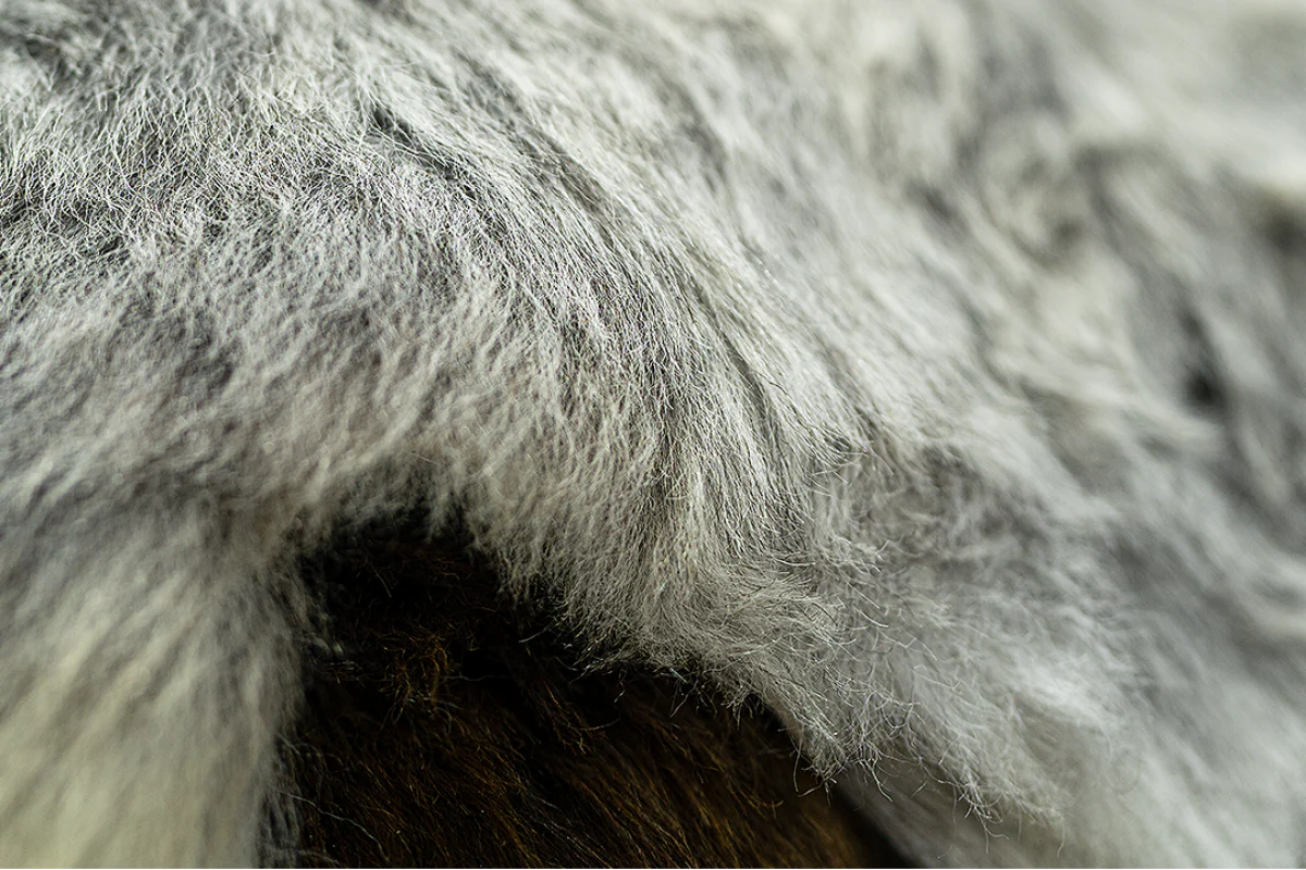 Nordgold | Schaffell (Lammfell) - Image 16